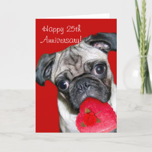Carte Happy 25th Anniversary pug greeting card