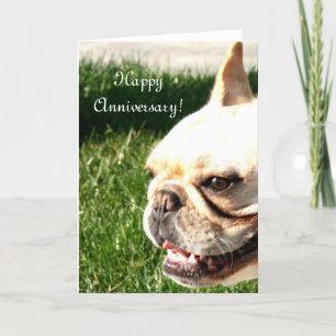 Carte Happy Anniversary French Bulldog greeting card