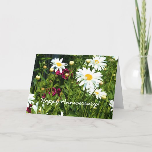 Carte Happy Anniversary Shasta Daisy Greeting card (Devant)