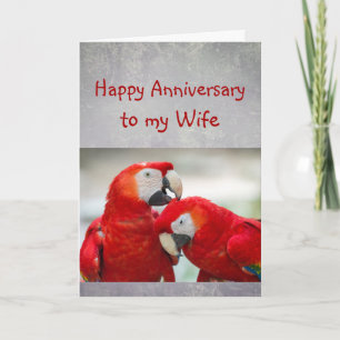 Carte Happy Anniversary Sweetheart Parrot Wife Love 