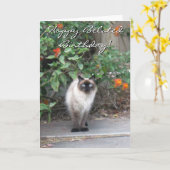 Carte Happy Belated Anniversaire Himalayan Mix chat (Fleur jaune)