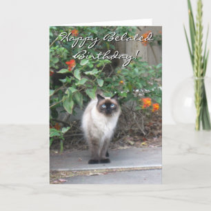 Carte Happy Belated Anniversaire Himalayan Mix chat