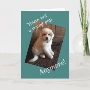 Carte Happy Birthday