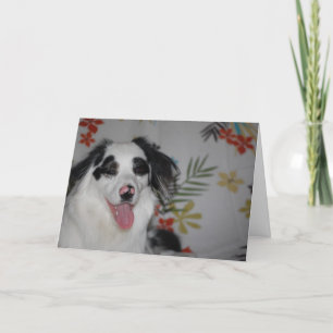 Carte Happy Birthday! Australian Shepherd