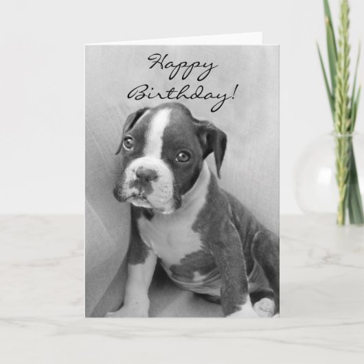 Carte Happy Birthday Boxer puppy (Devant)