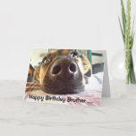 Carte Happy Birthday Brother One I look up to ! Cute Dog<br><div class="desc">Happy Birthday to the One I look up to ! Cute Dog Brother will appreciate this card</div>