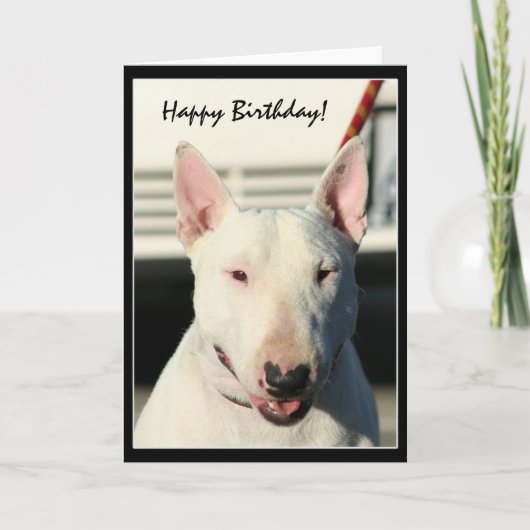 Carte Happy Birthday Bull Terrier greeting card (Devant)