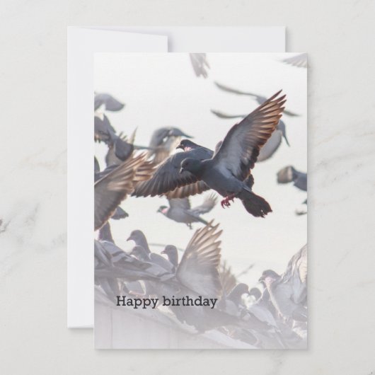 Carte Happy Birthday Card for Pigeons (Dos)