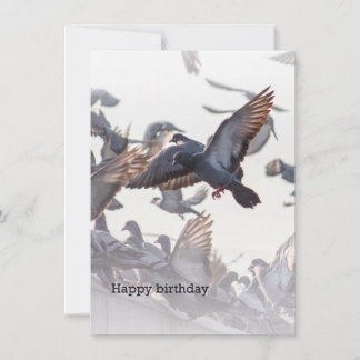 Carte Happy Birthday Card for Pigeons