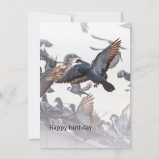 Carte Happy Birthday Card for Pigeons