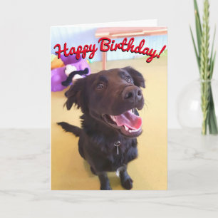 Carte Happy Birthday Card The Happy Boy