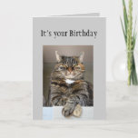 Carte Happy Birthday Don't look You Age Fun Cat<br><div class="desc">Happy Birthday with cute funny cat animal  inside:   You Sir don't look your age</div>