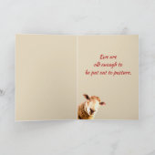 Carte Happy Birthday Ewe Funny Sheep Animal Humor (Intérieur)