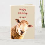 Carte Happy Birthday Ewe Funny Sheep Animal Humor<br><div class="desc">Happy Birthday to ewe Fun Pun  Inside verse: old enough to be put out to pasture  Funny Sheep Animal Humor for the one having a birthday with a sense of humor</div>