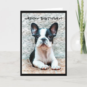 Carte Happy Birthday French Bulldog greeting card