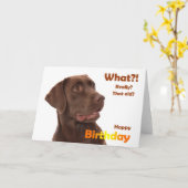 Carte Happy Birthday fun card avec Labrador dog (Fleur jaune)