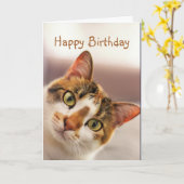Carte Happy Birthday Fun Cat Kitten Pop in (Fleur jaune)