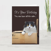Carte Happy Birthday Funny Cat  (Devant)