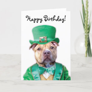 Carte Happy Birthday Irish Pitbull Puppy greeting card