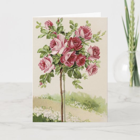 Carte Happy Birthday Rose tree (Devant)