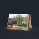 Carte Happy Birthday Son-customize<br><div class="desc">Use this masculine birthday card as is or change the words on the front and inside to fit your needs— even change it for a different occasion if you like. Type either birthday, or Pinzgauer in my searchbox midway down my right sidebar to see more cards of interest to you...</div>