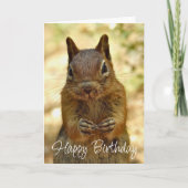 Carte Happy Birthday Squirrel Looking for Cake (Devant)
