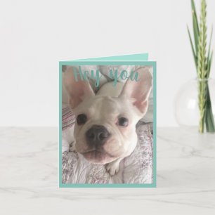 Carte Happy birthday white French bulldog floral card