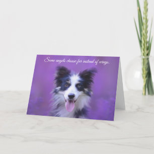 Carte Happy Border Collie Chien, Ange avec Fourrure