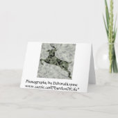 Carte Happy Fête des pères Camo Deer (Dos)