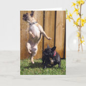 Carte Happy French Bulldog (Fleur jaune)