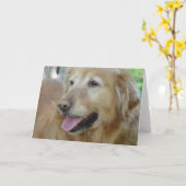 Carte Happy Golden Retriever (Fleur jaune)