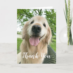 Carte Happy Golden Retriever Chien Merci
