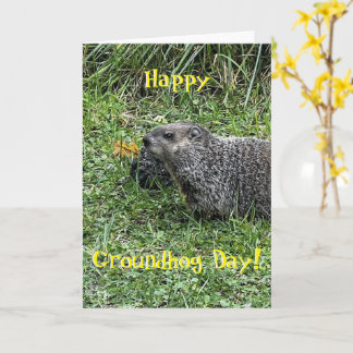 Carte Happy Groundhog Day, custom greeting cards