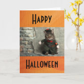 Carte Happy Halloween drôle Costume de chat Humour (Fleur jaune)