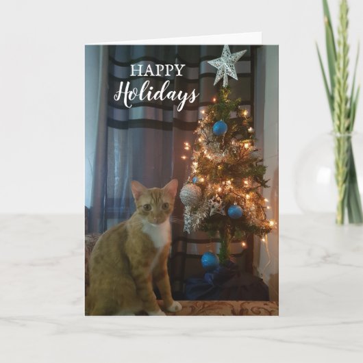 Carte Happy Holidays Christmas card by Cheeto Dacutecat. (Devant)