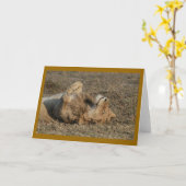 Carte Happy Kitty (Fleur jaune)