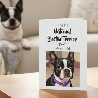 Carte Happy National Boston Terrier Day | Feb 19th