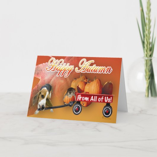 Carte Happy patchs citrouille d'automne Dog & Cat wagon  (Devant)