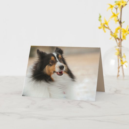 Carte Happy Shelty (Fleur jaune)