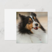 Carte Happy Shelty (Devant / Derrière)