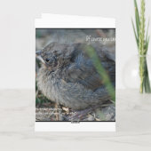 Carte Happy Trails To You (Dos)