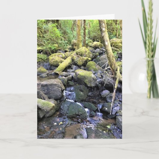 Carte Hardy Creek, Molalla, Oregon (Devant)