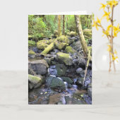 Carte Hardy Creek, Molalla, Oregon (Fleur jaune)