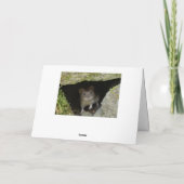 Carte Hares de boxe (Dos)