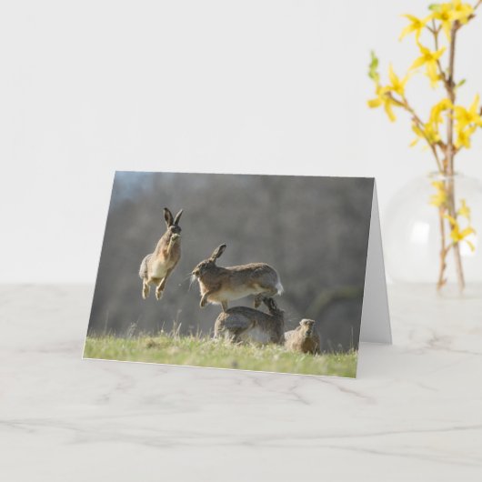 Carte Hares de boxe (Fleur jaune)