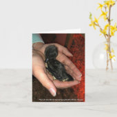 Carte Hatcheur de Cayuga (Fleur jaune)