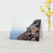 Carte Haut des montagnes Rocheuses (Fleur jaune)