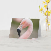 Carte haute étroite de Flamant rose (Fleur jaune)