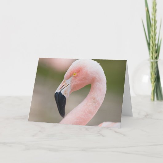Carte haute étroite de Flamant rose (Devant)