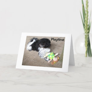 CARTE HAVANESE DIT SOUHAITER QUE JE PUISSE JOUER AVEC VO